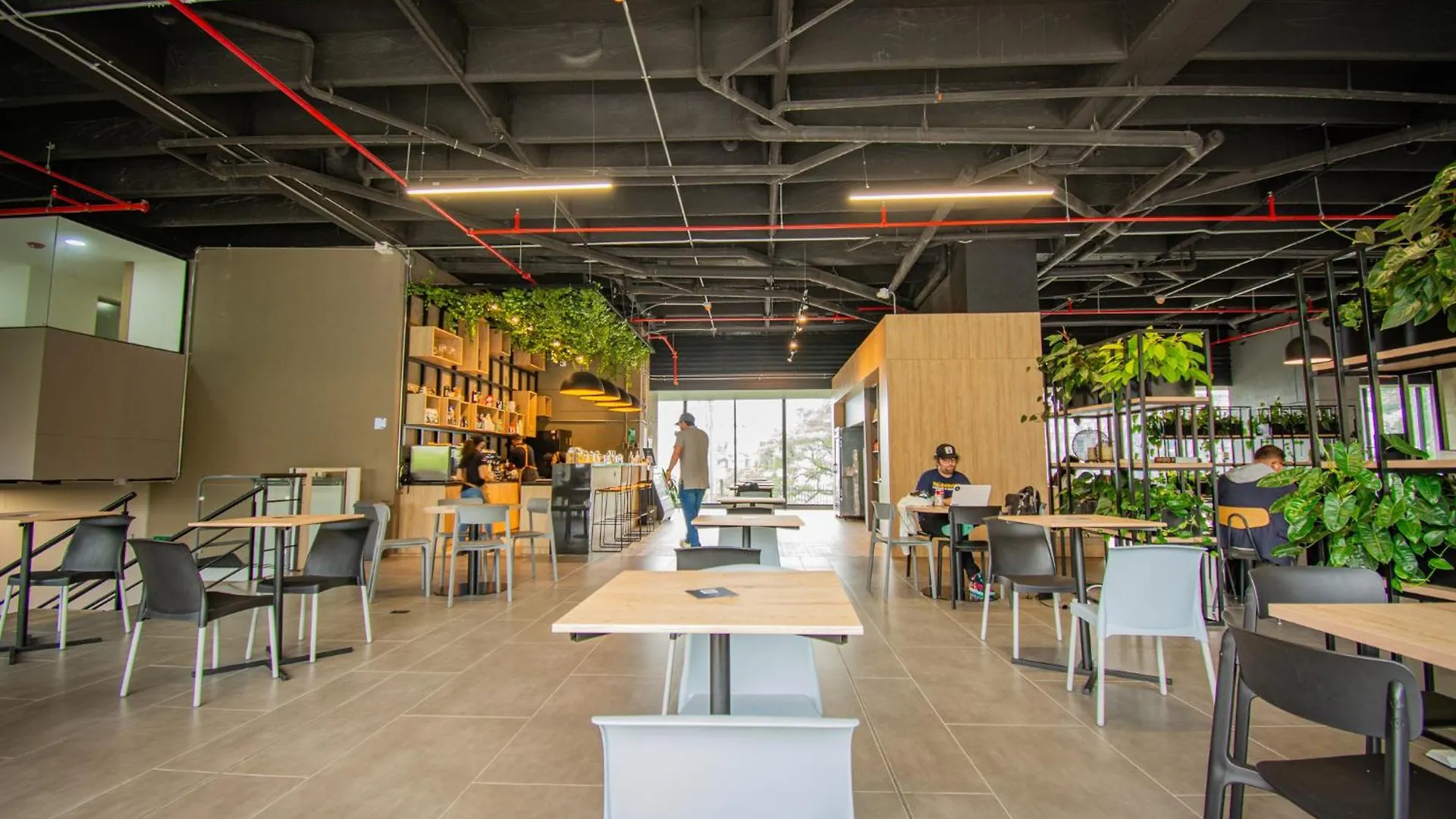 Unique Suite In El Poblado Cowork/ Gym / Fast Wifi メデジン